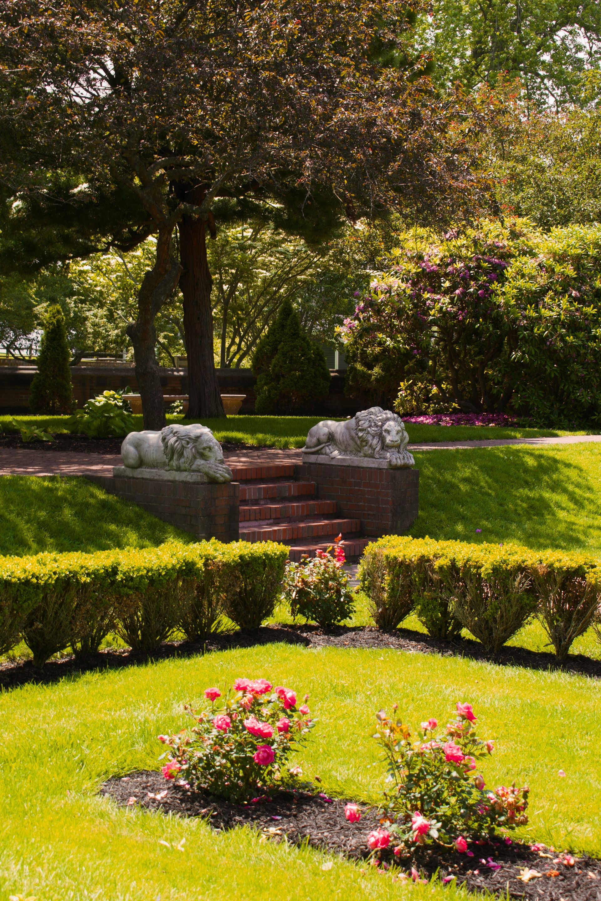 a couple of bushes and some flowers in a yard